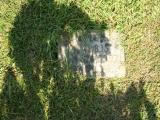 image of grave number 98587